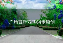 广场舞雁双飞64步原创