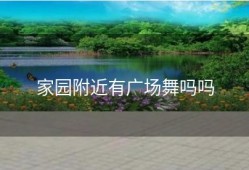 家园附近有广场舞吗吗