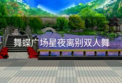舞蝶广场星夜离别双人舞