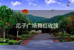 応子广场舞红玫瑰