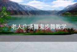 老人广场舞鬼步舞教学