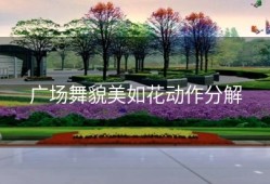 广场舞貌美如花动作分解