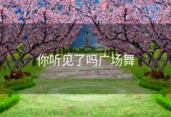 你听见了吗广场舞