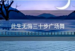 此生无悔三十步广场舞