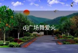 dj广场舞爱火