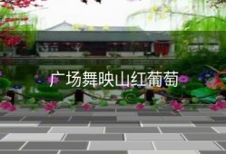 广场舞映山红葡萄