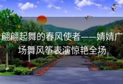 翩翩起舞的春风使者——婧婧广场舞风筝表演惊艳全场