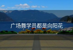 广场舞学员都是向阳花