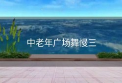 中老年广场舞慢三
