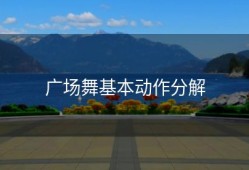 广场舞基本动作分解