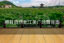 顺其自然北江美广场舞背面