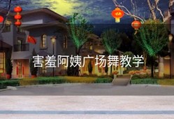 害羞阿姨广场舞教学