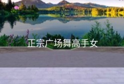 正宗广场舞高手女