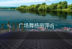 广场舞杨丽萍dj