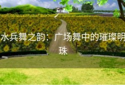 水兵舞之韵：广场舞中的璀璨明珠