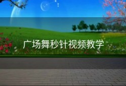 广场舞秒针视频教学