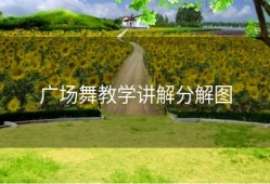 广场舞教学讲解分解图