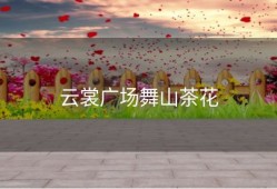 云裳广场舞山茶花