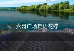 六哥广场舞语花蝶