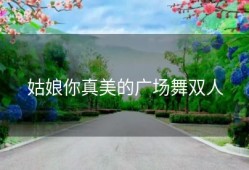 姑娘你真美的广场舞双人