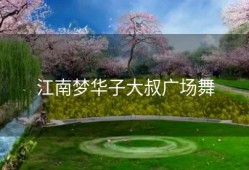 江南梦华子大叔广场舞