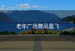 老年广场舞凤凰飞