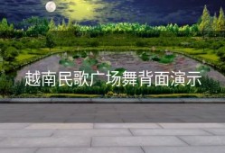 越南民歌广场舞背面演示