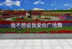 我不想说我爱你广场舞