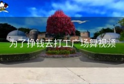 为了挣钱去打工广场舞视频