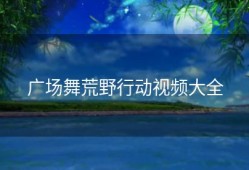 广场舞荒野行动视频大全