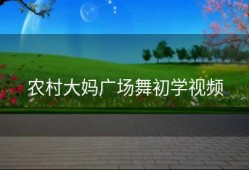 农村大妈广场舞初学视频