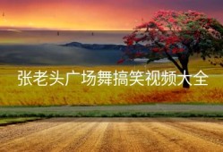 张老头广场舞搞笑视频大全