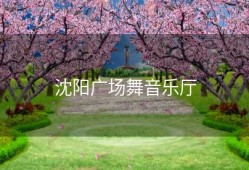 沈阳广场舞音乐厅