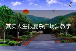 其实人生很复杂广场舞教学