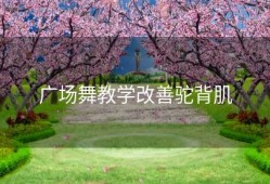 广场舞教学改善驼背肌