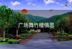 广场舞竹楼情思