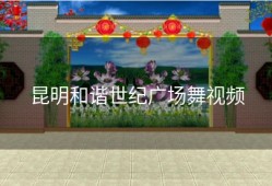 昆明和谐世纪广场舞视频