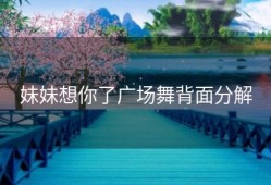 妹妹想你了广场舞背面分解