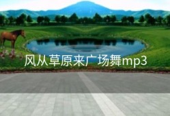 风从草原来广场舞mp3