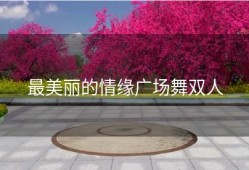 最美丽的情缘广场舞双人