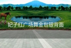 妃子红广场舞金包银背面