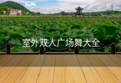 室外双人广场舞大全