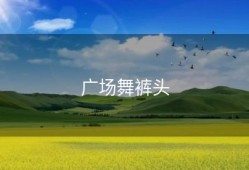 广场舞裤头