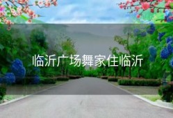 临沂广场舞家住临沂