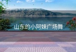 山东的小阿妹广场舞