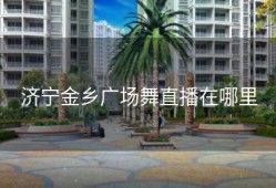 济宁金乡广场舞直播在哪里