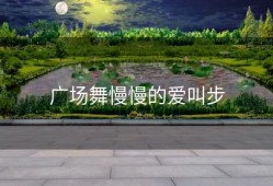 广场舞慢慢的爱叫步