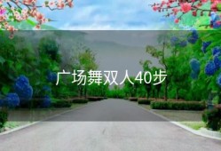 广场舞双人40步