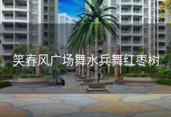 笑春风广场舞水兵舞红枣树