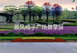晨风椅子广场舞录屏